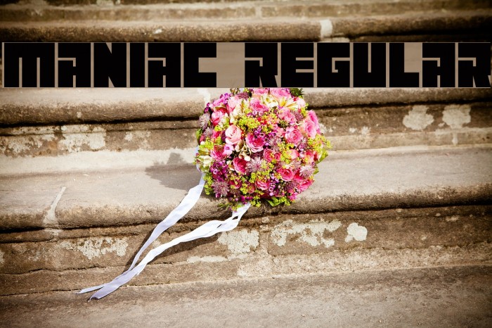 Maniac Regular Example 3