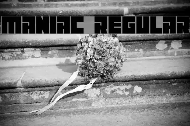 Maniac Regular Font examples