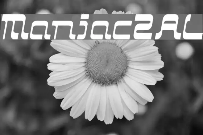 Maniac2AL Example 3