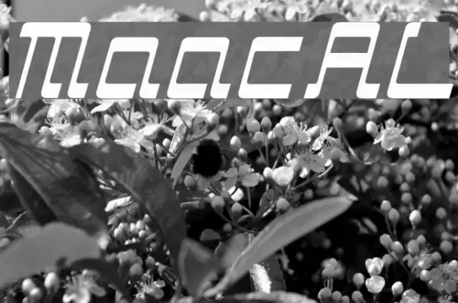 ManiacAL フォント examples