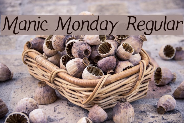 Manic Monday Regular Font examples