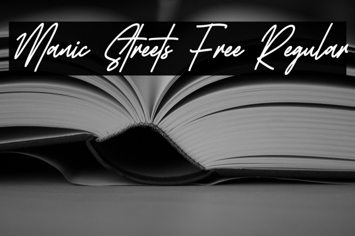 Manic Streets Free Regular Example 3