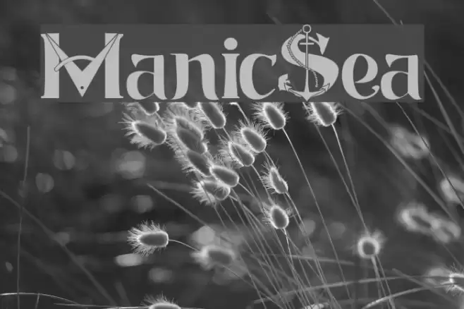 ManicSea Font examples