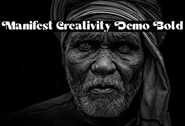 Manifest Creativity Demo Bold Example 2
