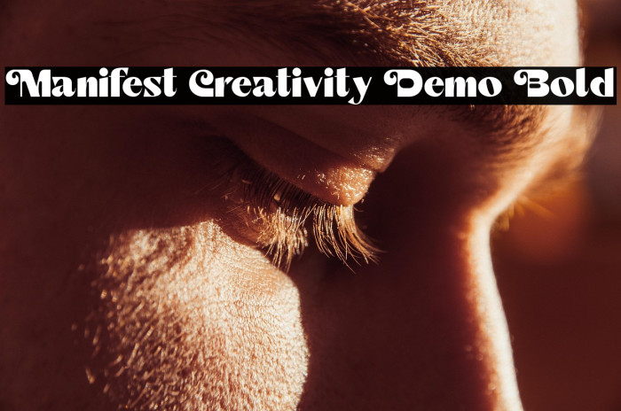 Manifest Creativity Demo Bold Example 3