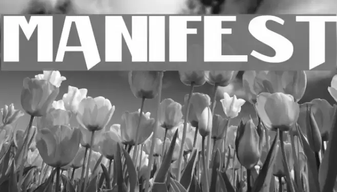 Manifest Font examples