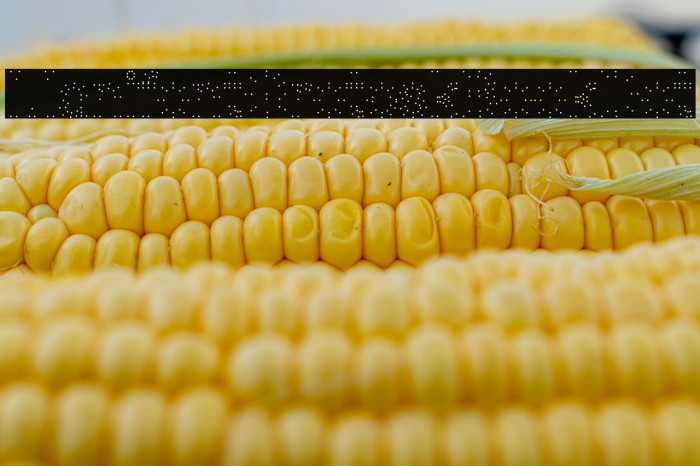 ManifontGroteskBookDot Example 2