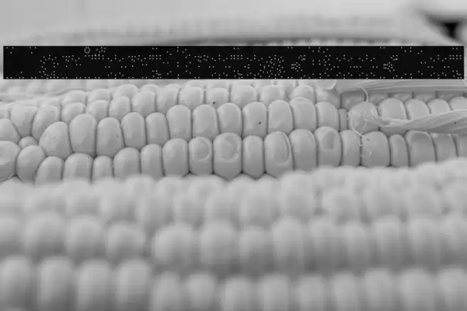 ManifontGroteskBookDot Font examples