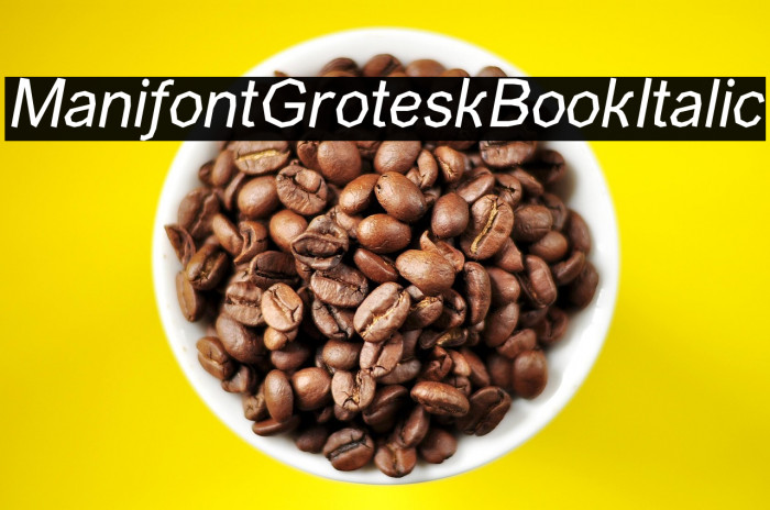 ManifontGroteskBookItalic Example 1