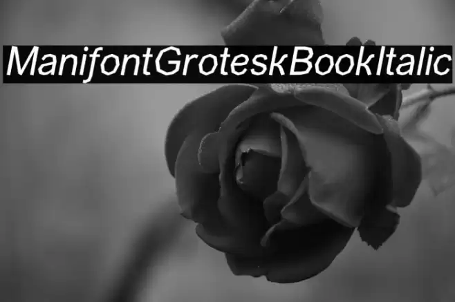ManifontGroteskBookItalic Font examples