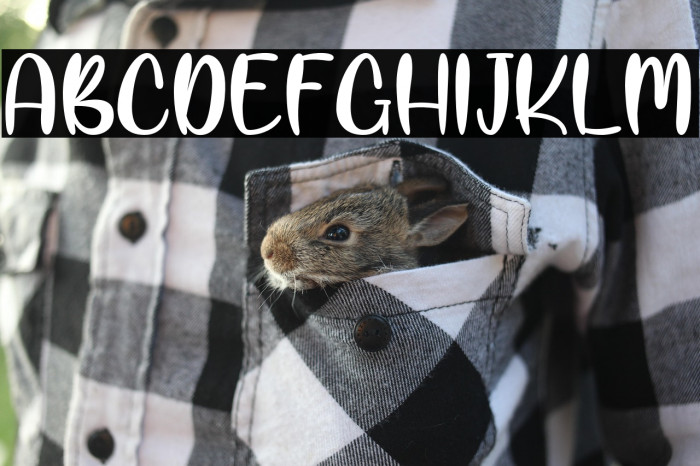 ManilaKissPersonalUse Example 1