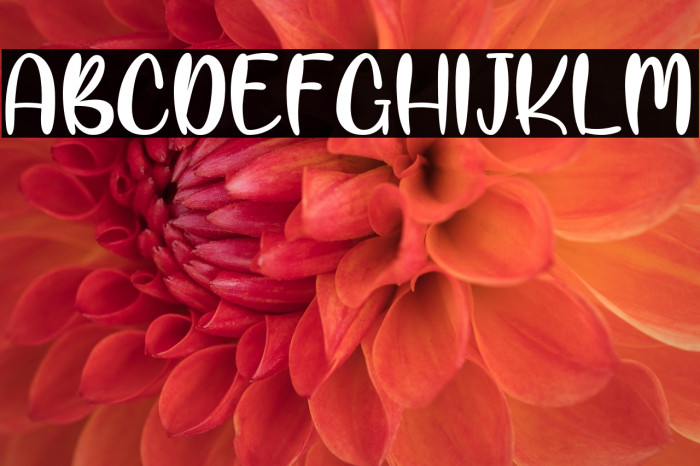 ManilaKissPersonalUse Example 2