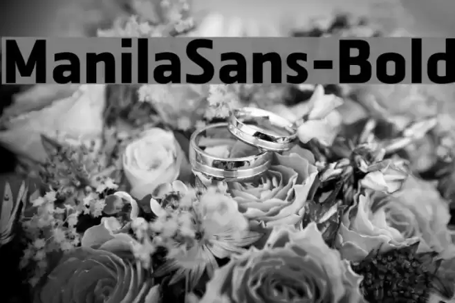 ManilaSans-Bold Font examples