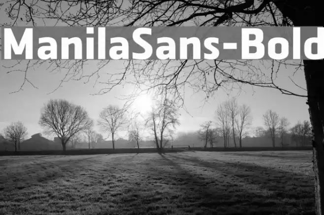 ManilaSans-Bold Font examples