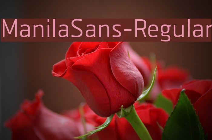 ManilaSans-Regular Font examples