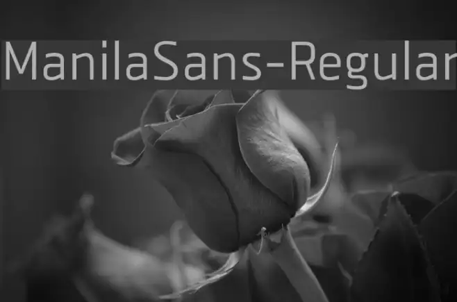 ManilaSans-Regular Example 3