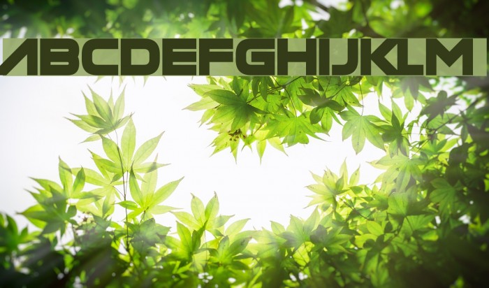 Manilla Cellos Font examples