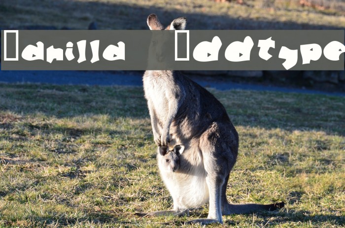 Manilla Oddtype Font examples