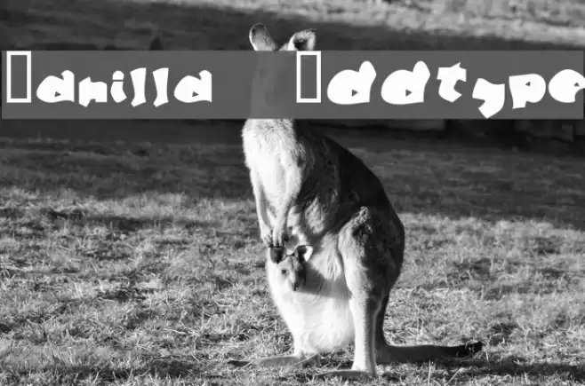Manilla Oddtype Шрифта examples