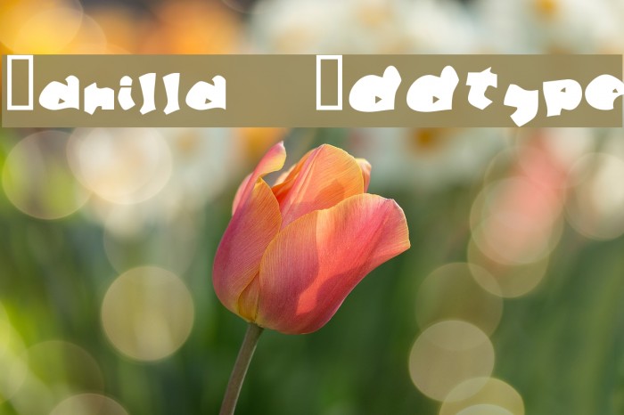 Manilla Oddtype Font examples