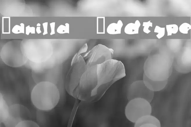 Manilla Oddtype Шрифта examples