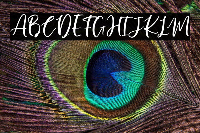 Manilla Script Example 3