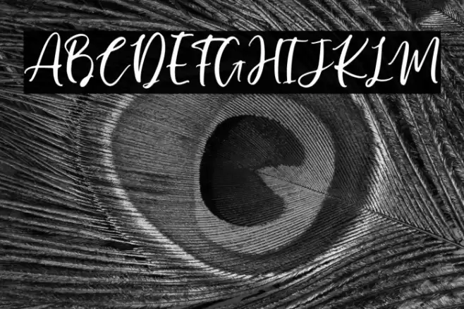 Manilla Script Font examples