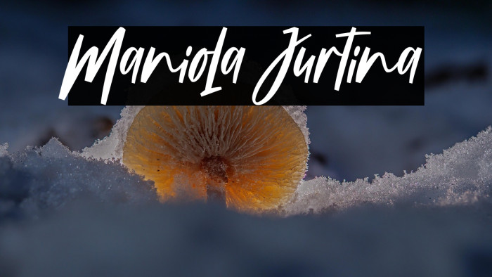 Maniola Jurtina Example 2