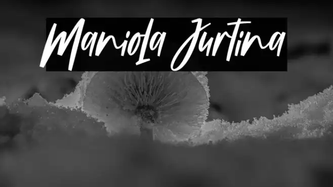 Maniola Jurtina Example 2