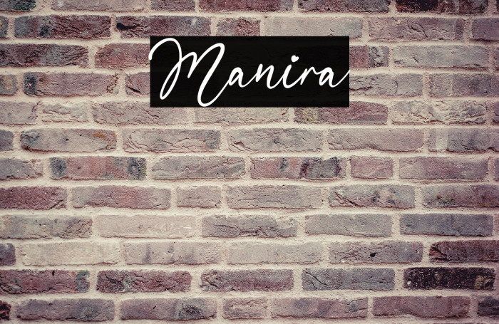 Manira Example 2