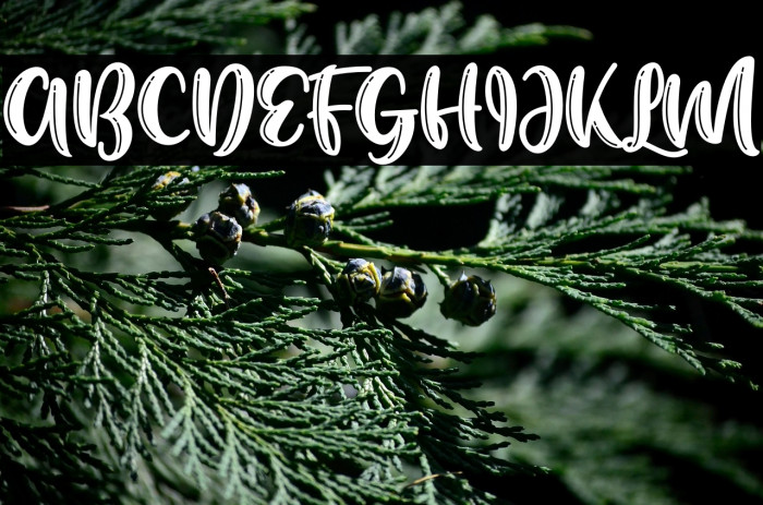 Manis Banget Line Example 2