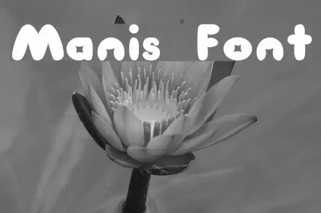 Manis Font examples