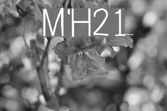 Manjiro'sHw21 Font examples