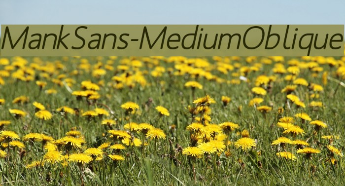 MankSans-MediumOblique Fonte examples