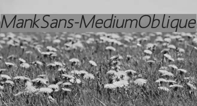 MankSans-MediumOblique Fonte examples
