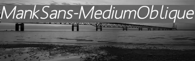 MankSans-MediumOblique Fonte examples