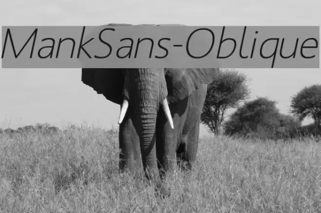 MankSans-Oblique خط examples