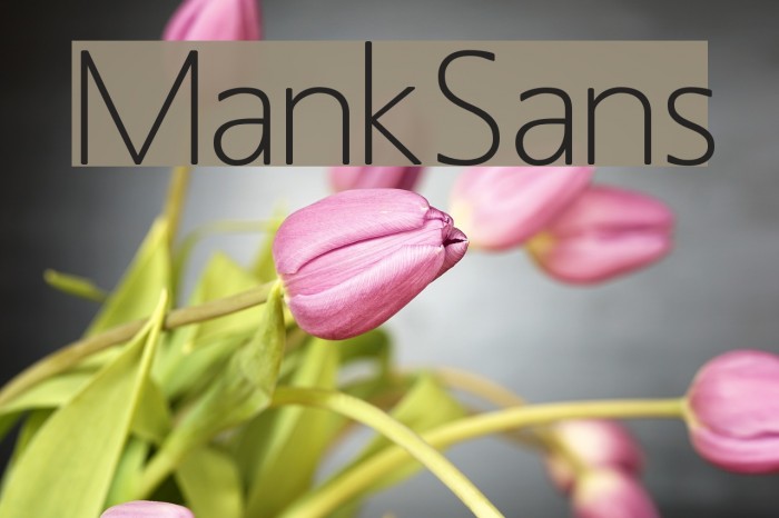 MankSans फ़ॉन्ट examples