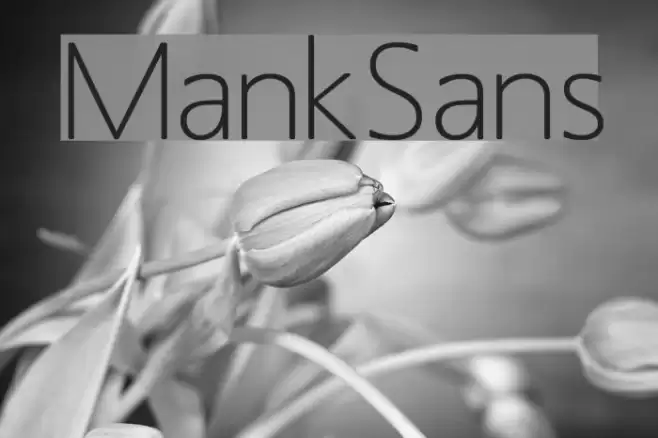 MankSans फ़ॉन्ट examples