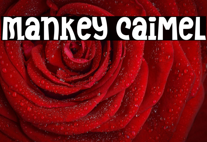 Mankey Caimel Example 1