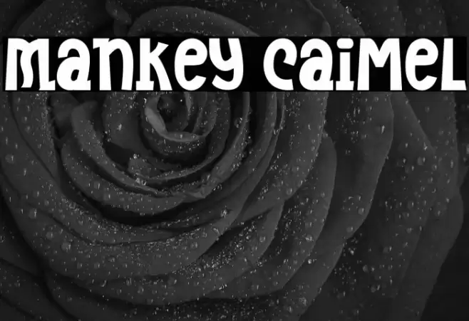 Mankey Caimel 字体 examples