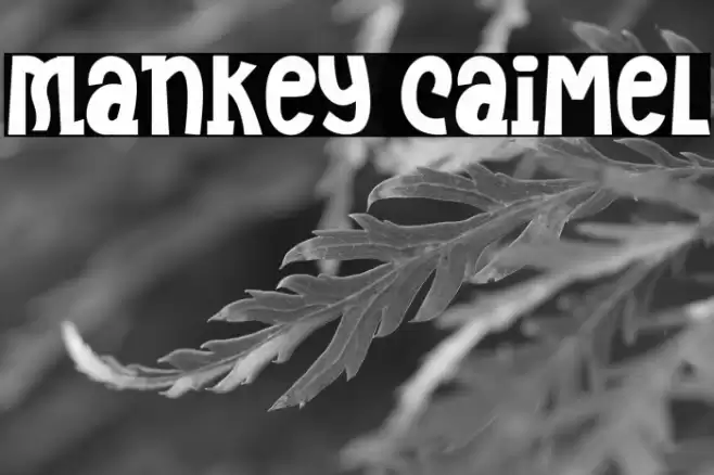 Mankey Caimel 字体 examples