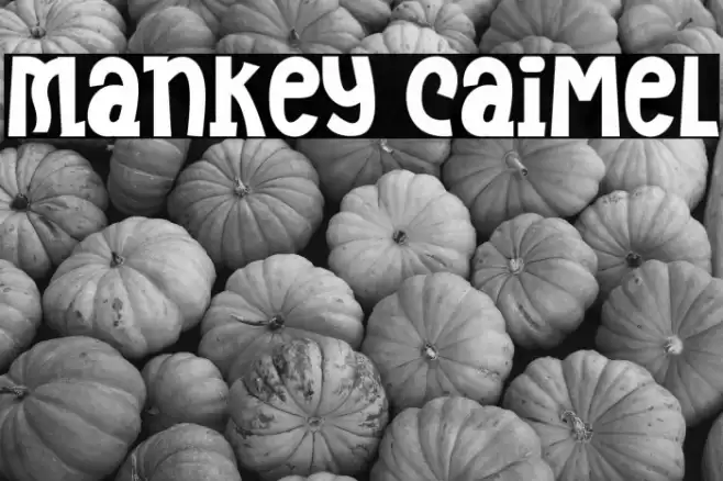 Mankey Caimel 字体 examples