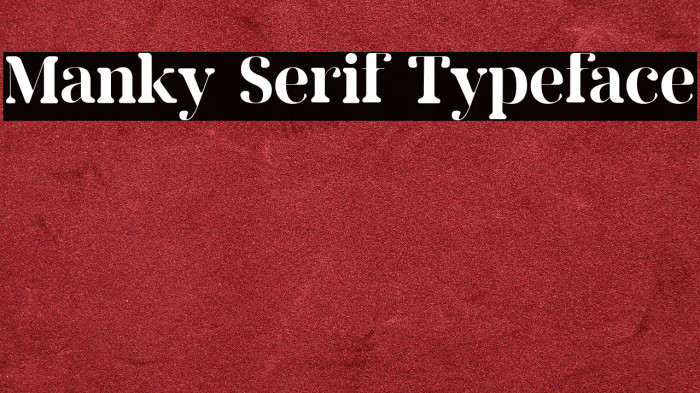 Manky Serif Typeface Example 1