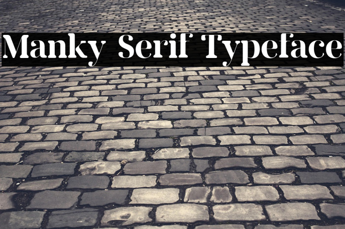 Manky Serif Typeface Example 2