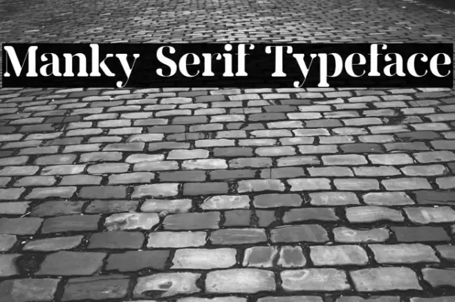 Manky Serif Typeface Font examples