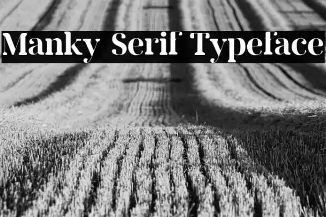 Manky Serif Typeface Font examples
