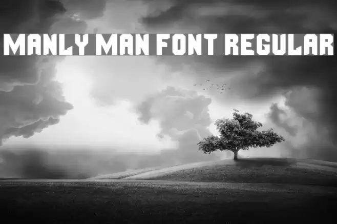 Manly Man Font Regular Font examples