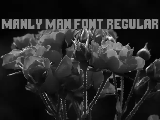 Manly Man Font Regular Font examples