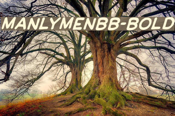 ManlyMenBB-Bold Font examples